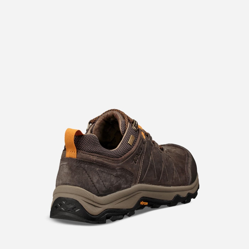 Teva Arrowood Riva WP Fjellsko Herre Brune | 57RBGJLYX