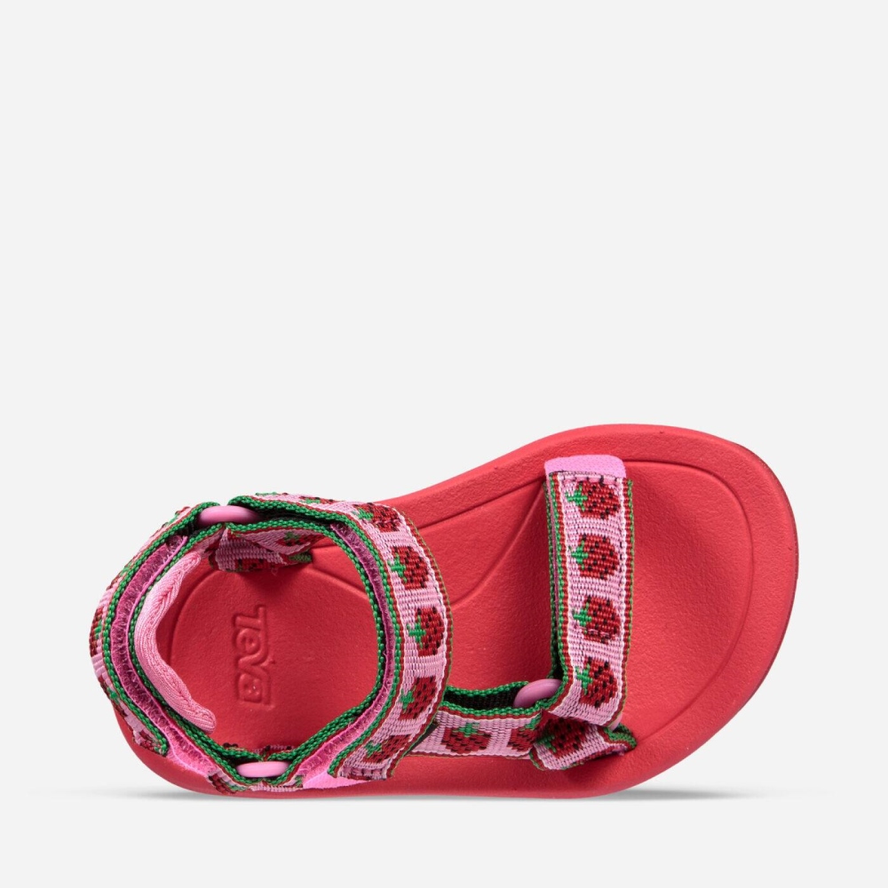 Teva Hurricane XLT2 Slip On Sko Barn Rosa | 06AZDIWFL