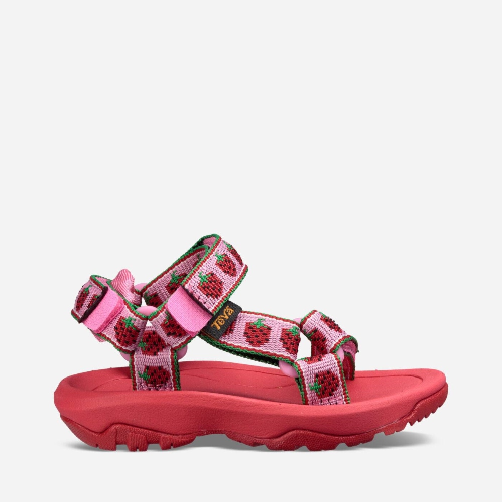 Teva Hurricane XLT2 Slip On Sko Barn Rosa | 06AZDIWFL