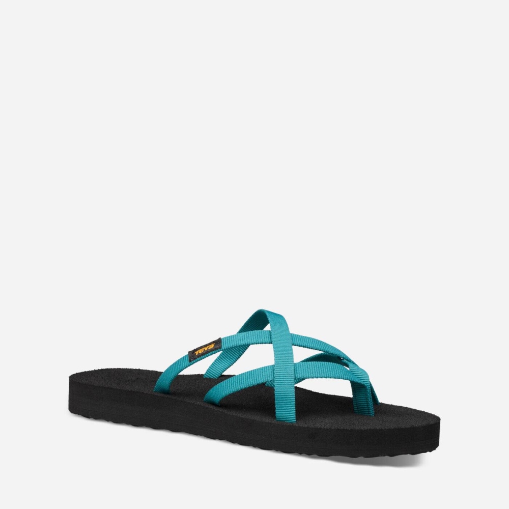 Teva Olowahu Flip Flops Dame Blå | 05PHFJSLG