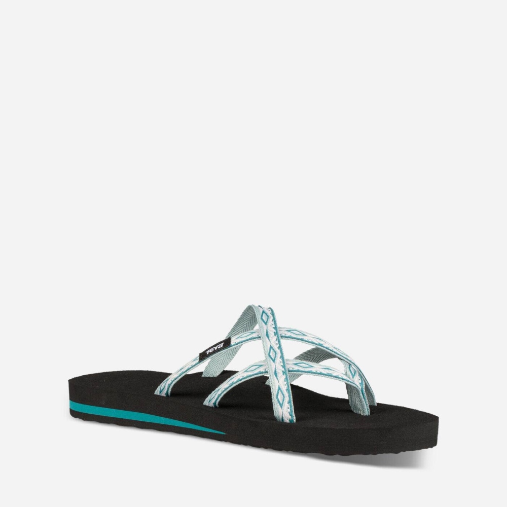 Teva Olowahu Flip Flops Dame Grå | 93QKBXPYM