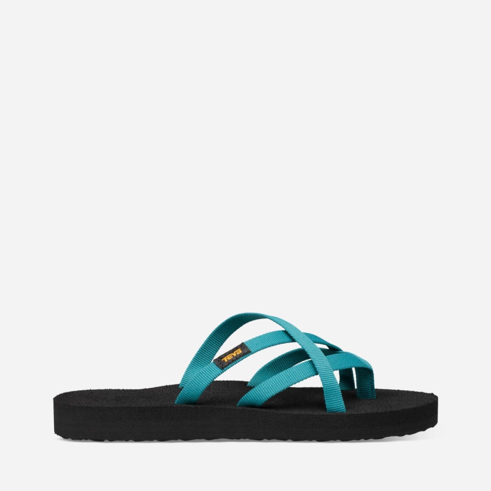 Teva Olowahu Flip Flops Dame Blå | 05PHFJSLG